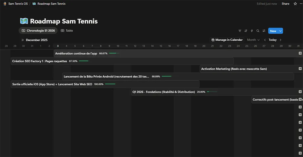 La roadmap de Sam Tennis : chaque bloc est un Epic Roadmap de Sam Tennis constituée d'Epics dans Notion